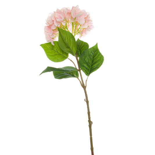 Skandi London Single Pink Hydrangea - Skandi London