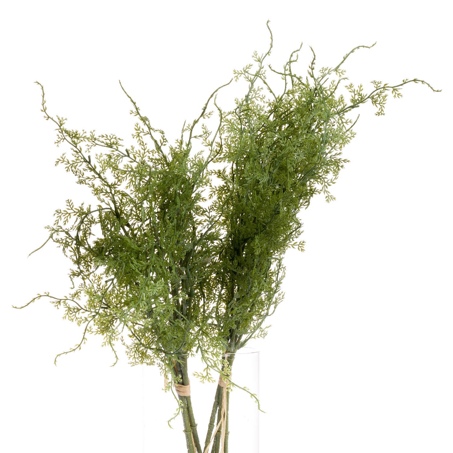 Skandi London Asparagus Fern Bunch - Skandi London