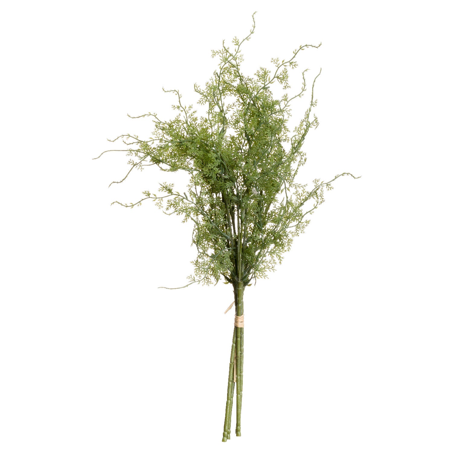 Skandi London Asparagus Fern Bunch - Skandi London