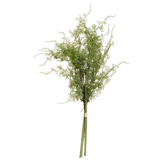 Skandi London Asparagus Fern Bunch - Skandi London