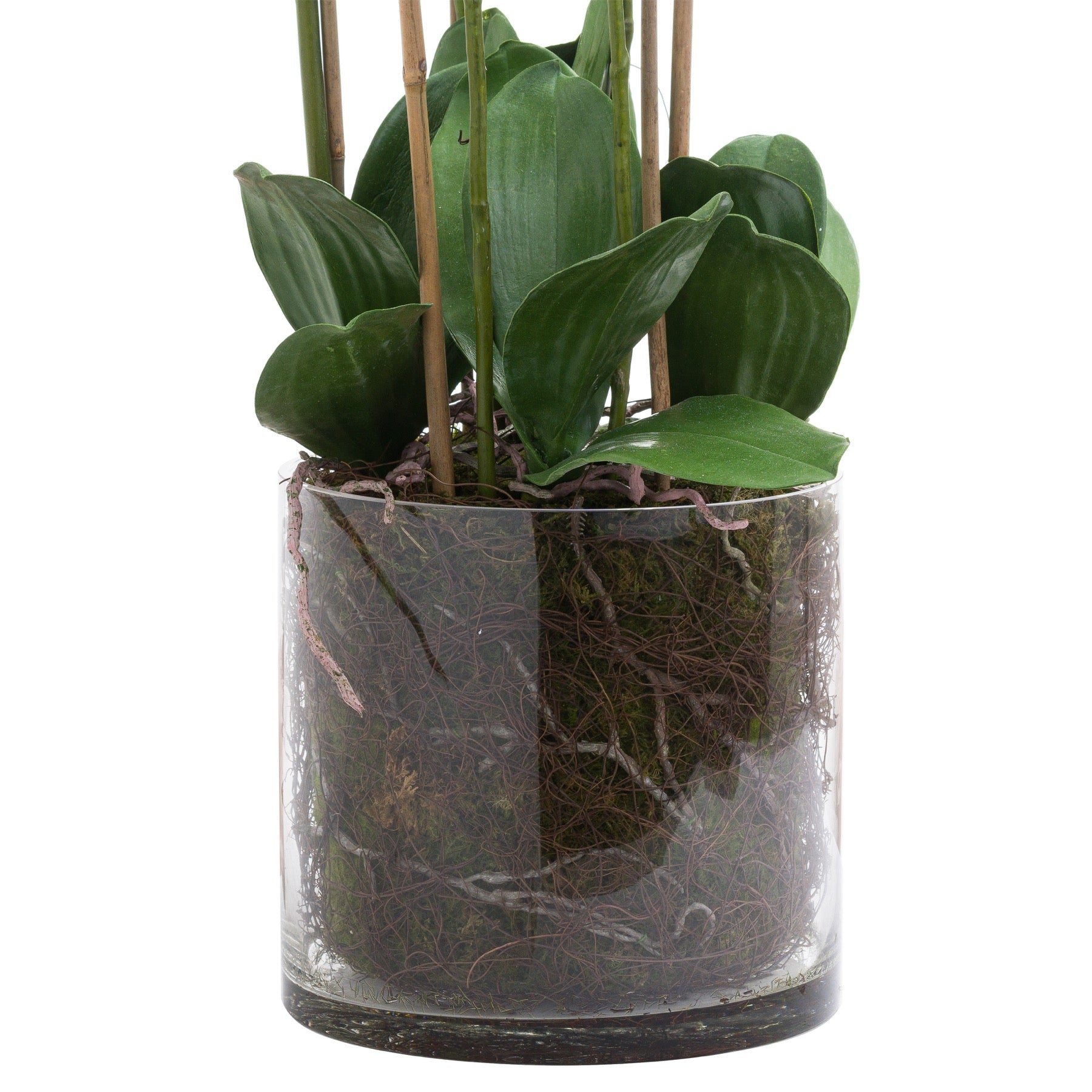 Skandi London Large White Tall Orchid In Glass Pot - Skandi London