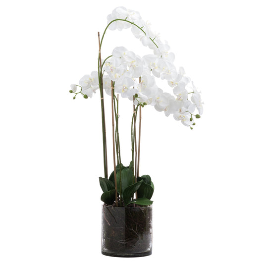 Skandi London Large White Tall Orchid In Glass Pot - Skandi London