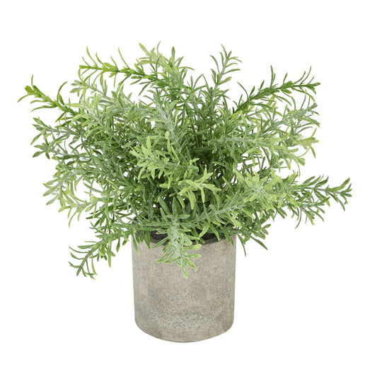 Skandi London Rosemary Plant In Stone Effect Pot - Skandi London