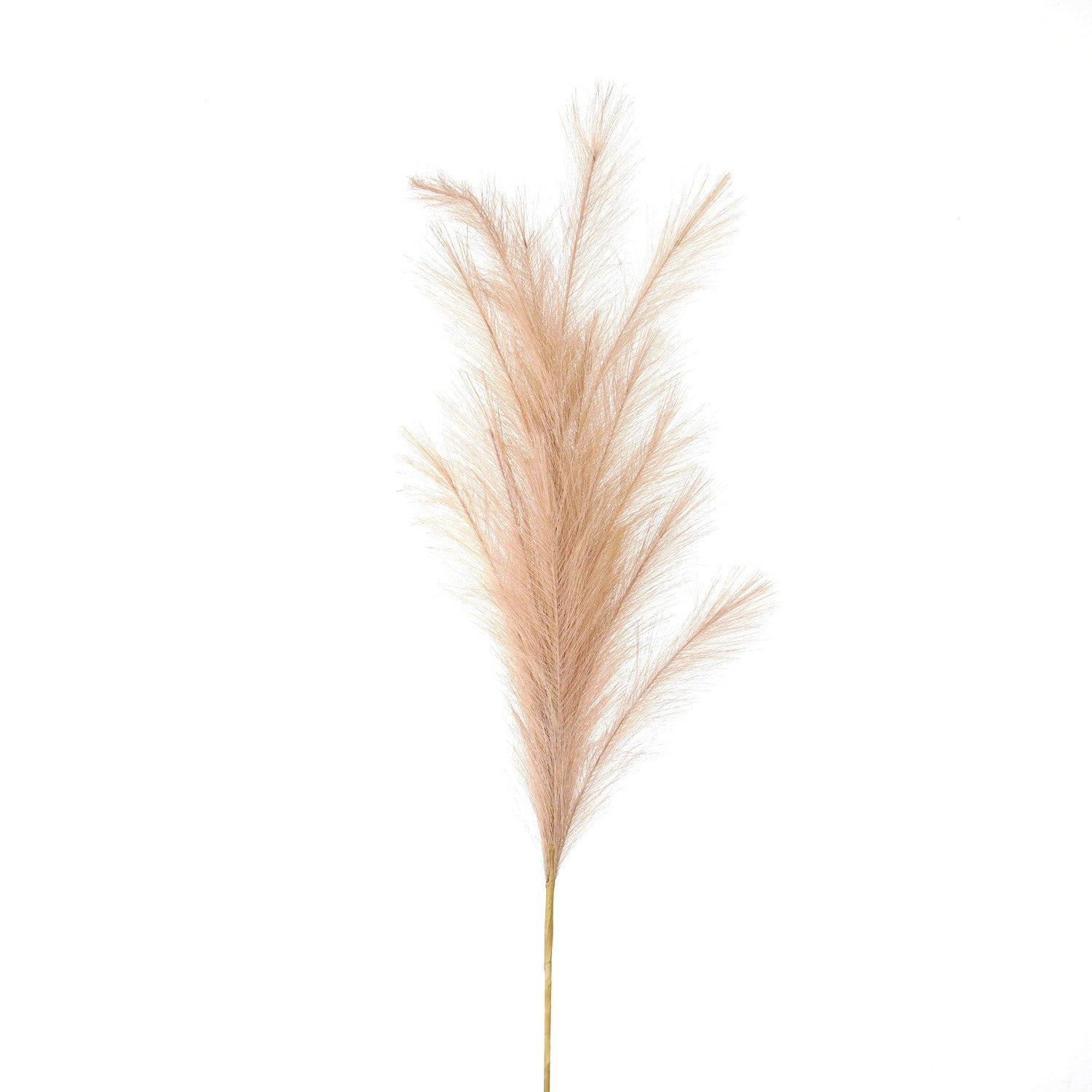 Skandi London Large Faux Pampas Grass Stem - Skandi London