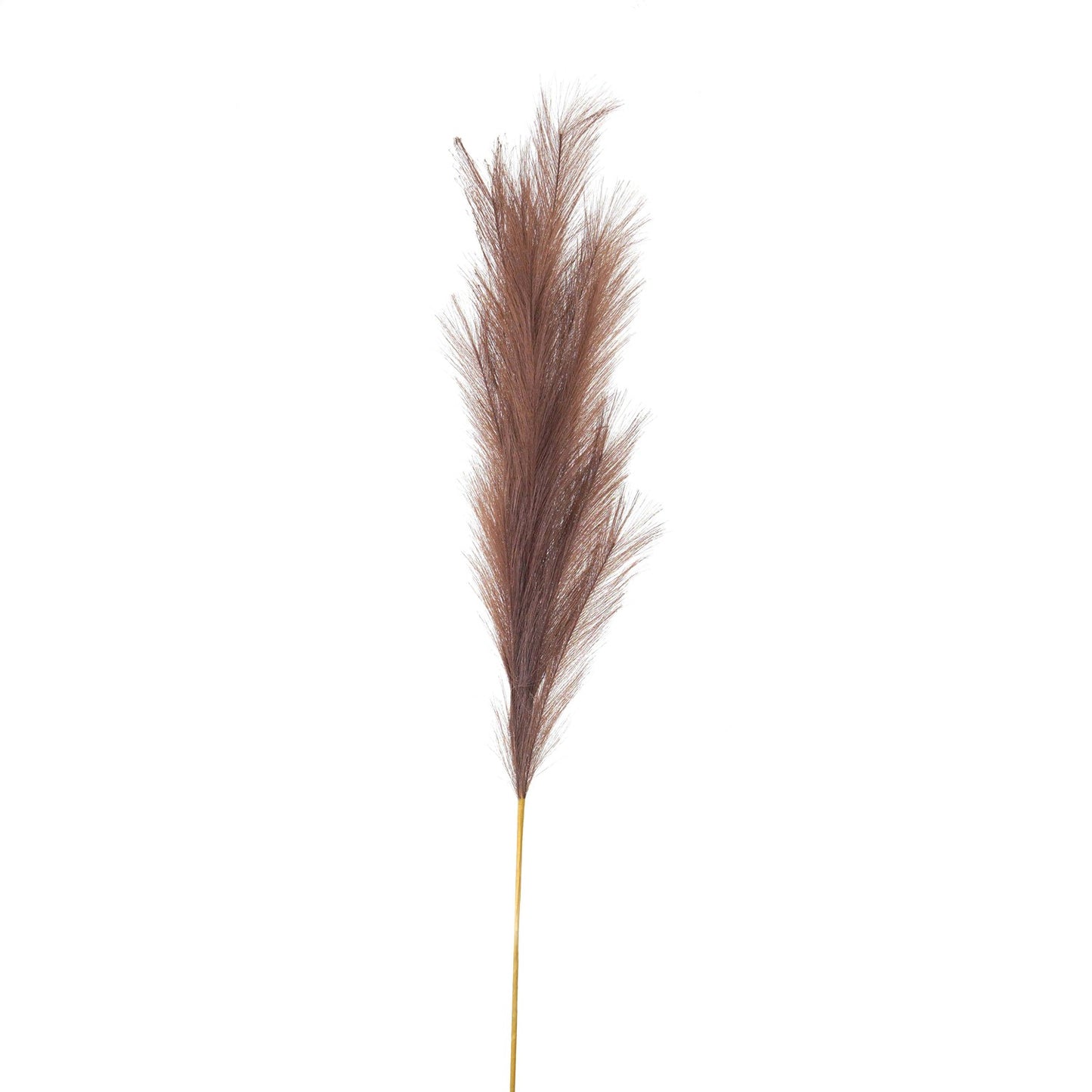 Skandi London Taupe Large Faux Pampas Grass Stem - Skandi London