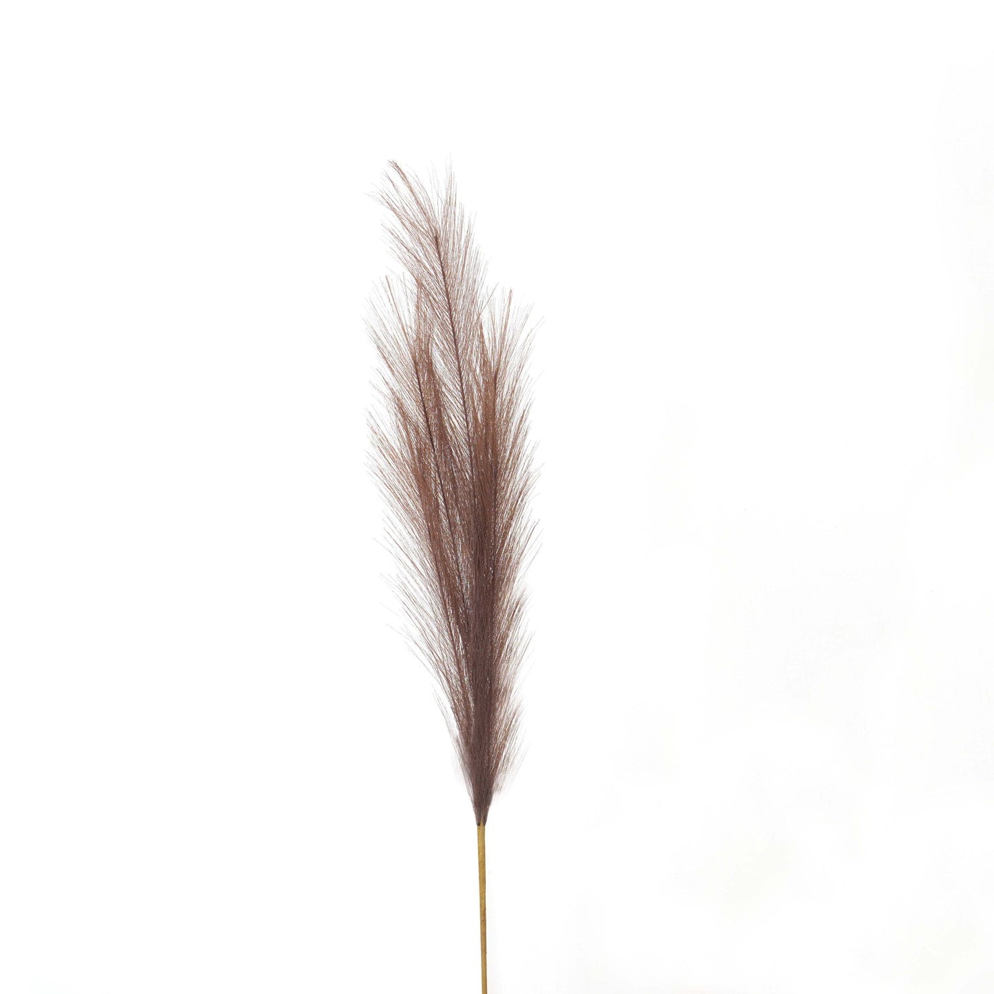 Skandi London Taupe Faux Pampas Grass Stem - Skandi London