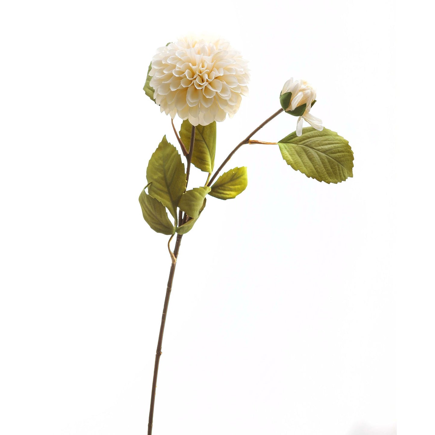 Skandi London White Dahlia Stem - Skandi London