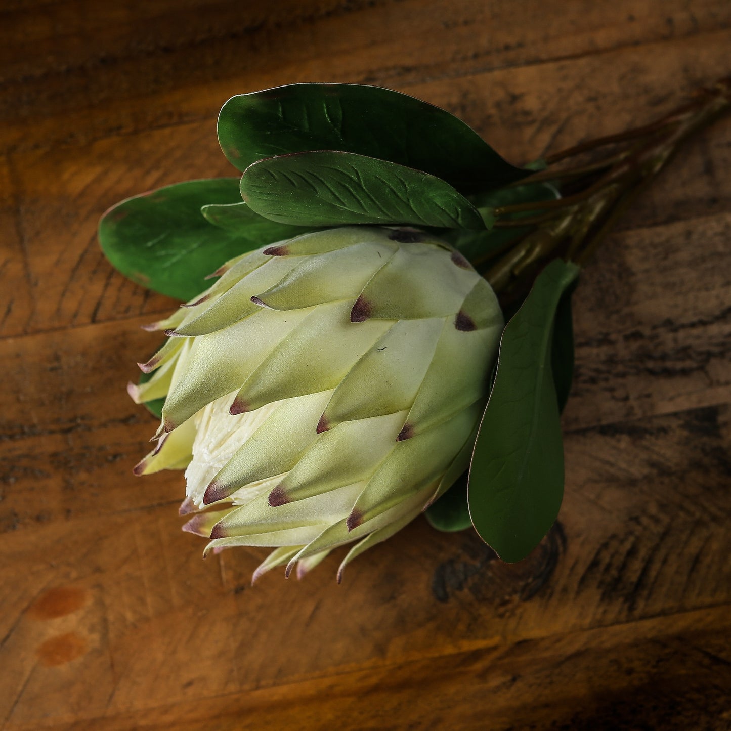 Skandi London Large White Protea