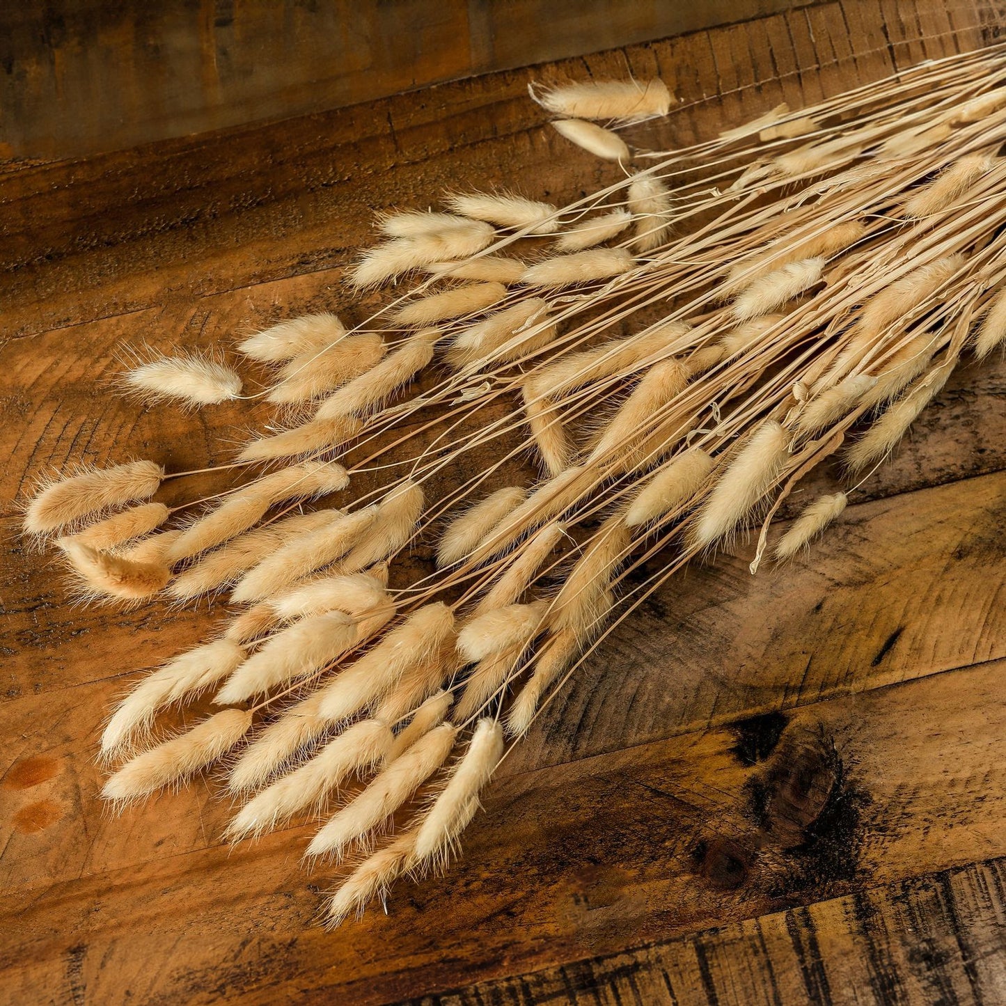 Skandi London Bouquet Of Tall Bunny Tails - Skandi London