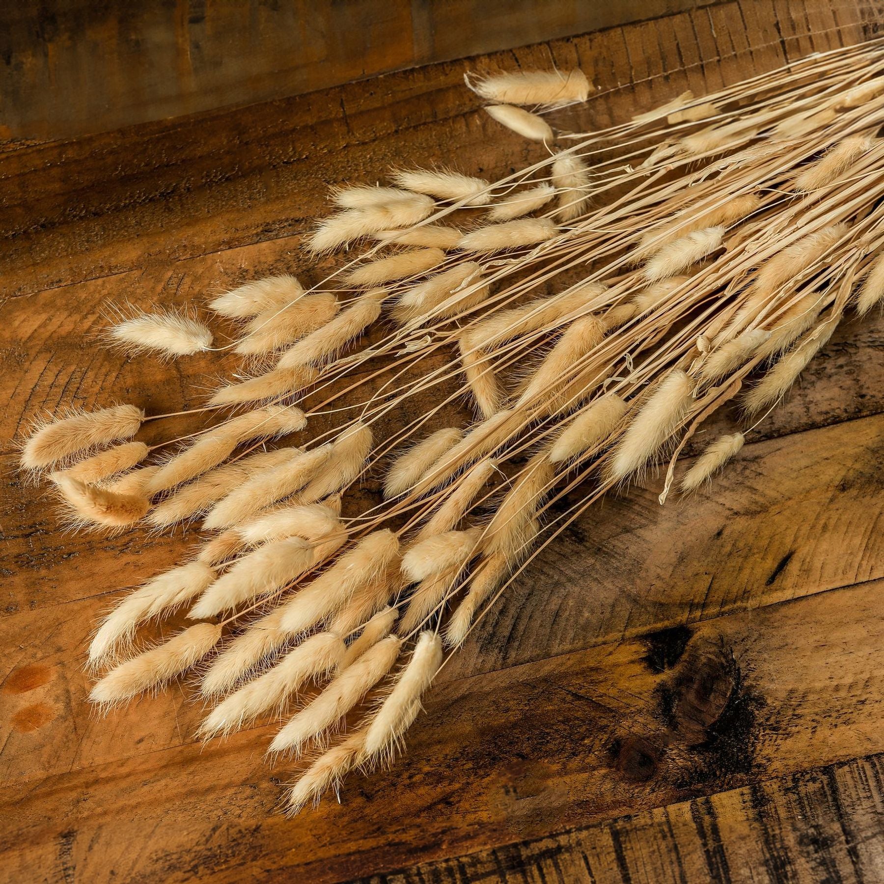 Skandi London Bouquet Of Tall Bunny Tails - Skandi London