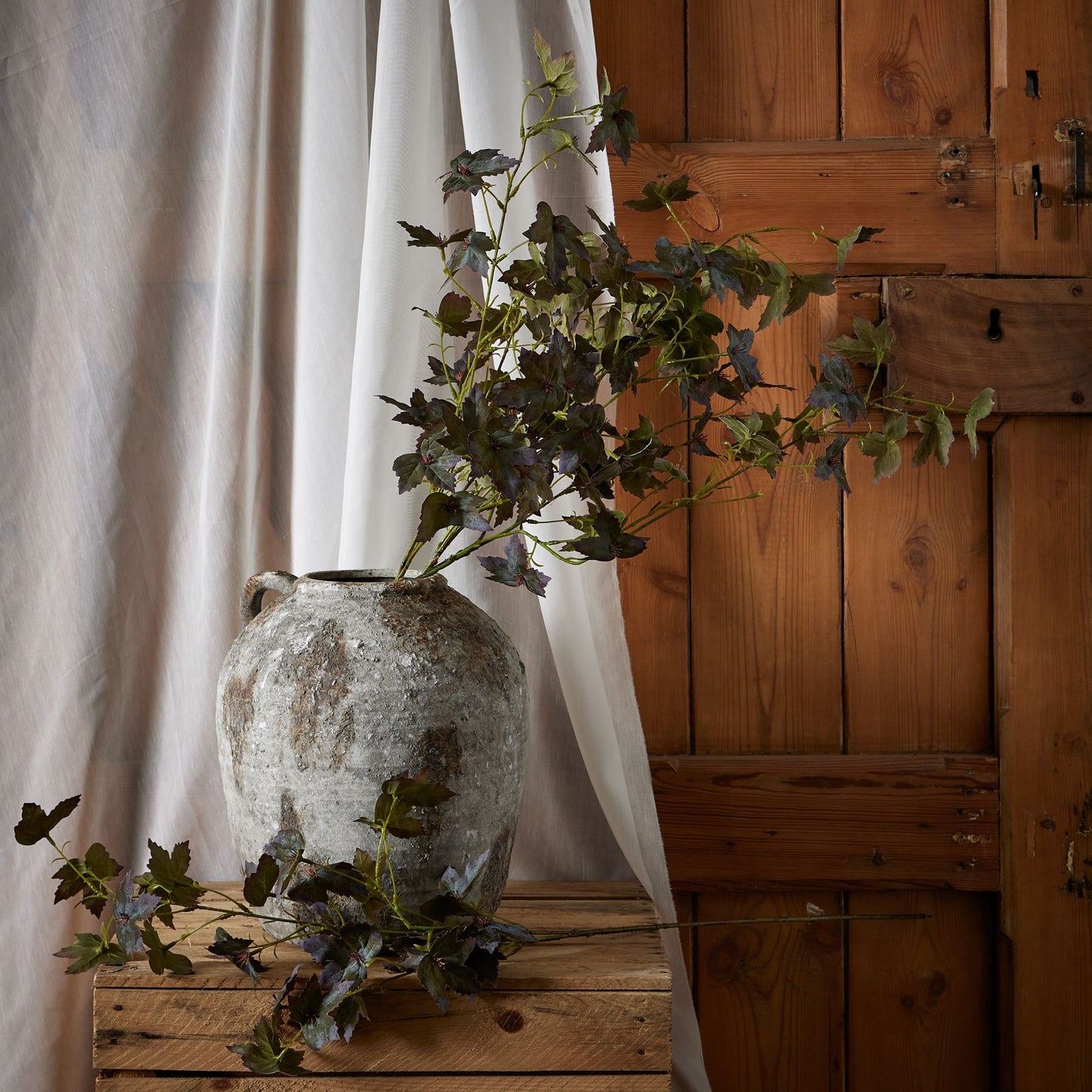 Skandi London Variegated Maple Leaf - Skandi London