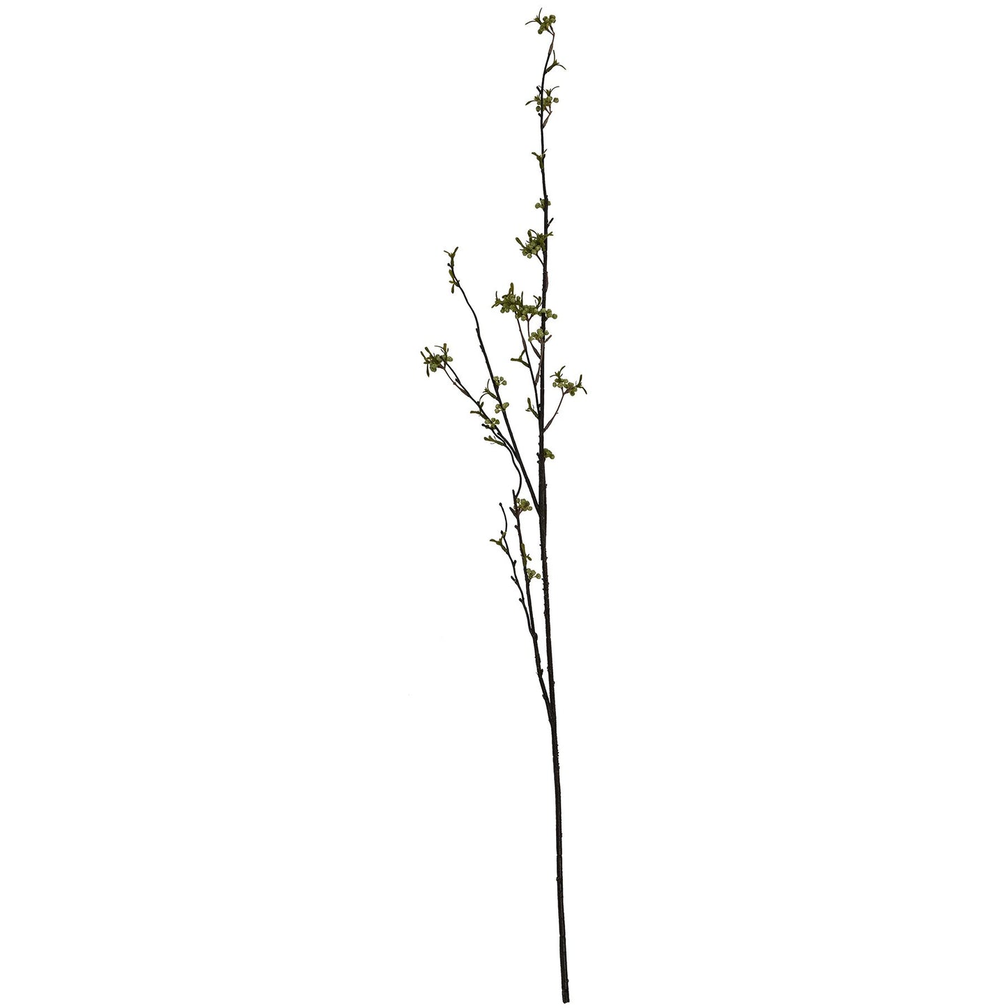 Skandi London Green Berry Willow Stem - Skandi London