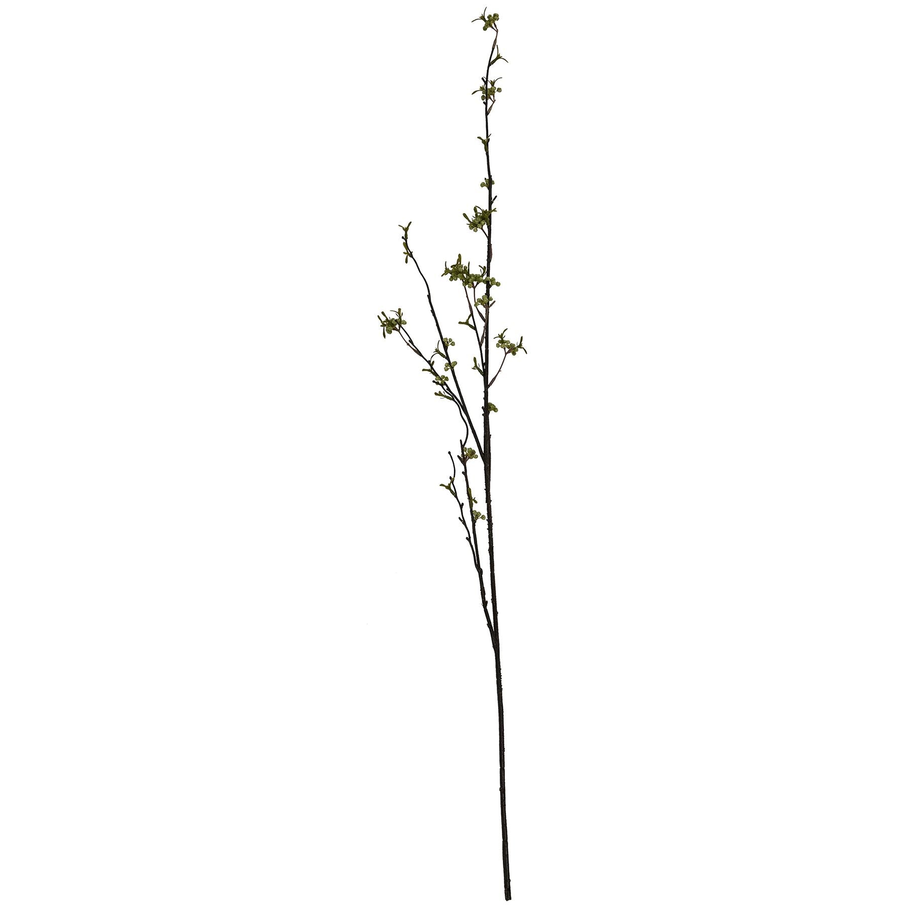 Skandi London Green Berry Willow Stem - Skandi London