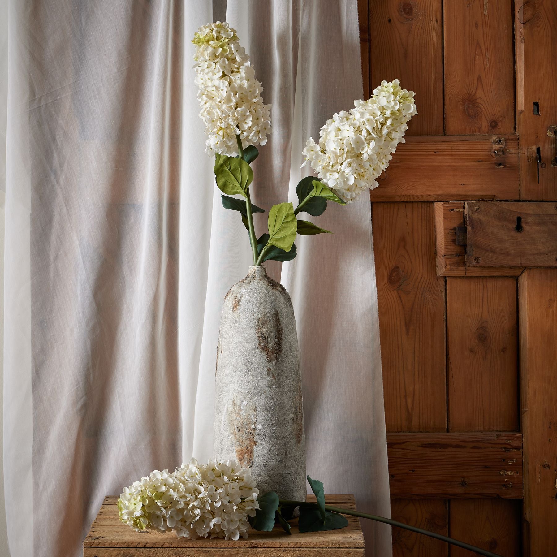 Skandi London White Spear Hydrangea - Skandi London