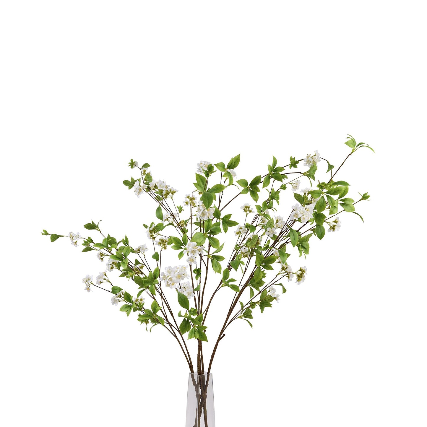 Skandi London Tall Mock Orange Spray - Skandi London