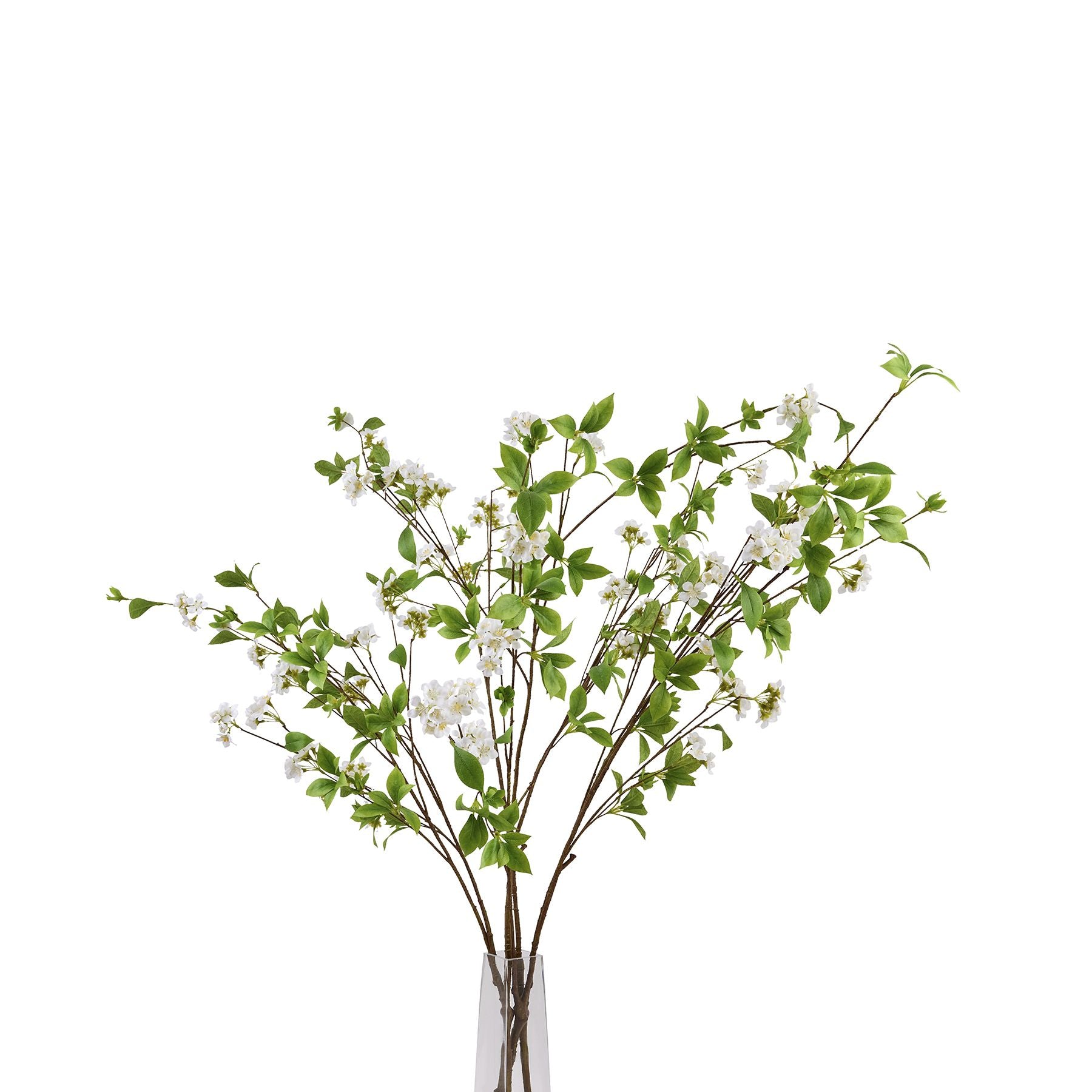 Skandi London Tall Mock Orange Spray - Skandi London