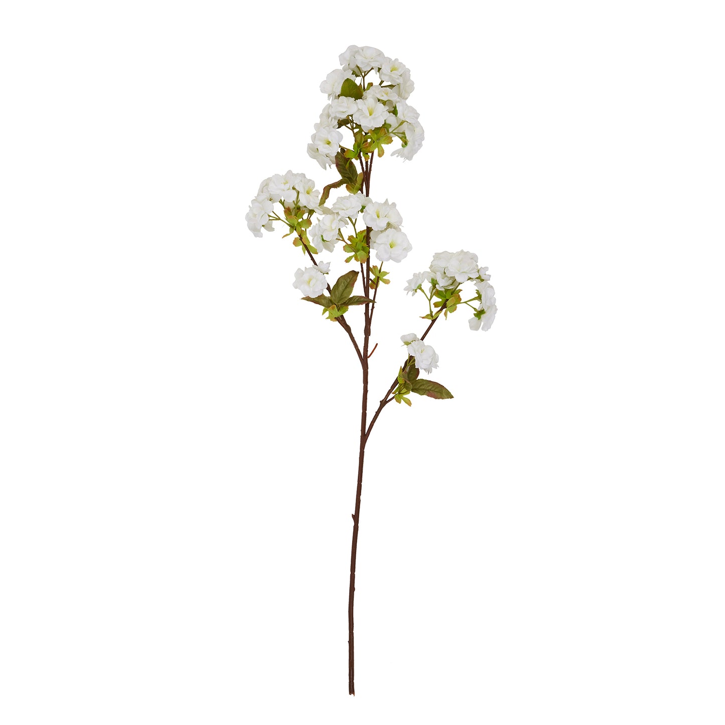 Skandi London Tall White Blossom - Skandi London