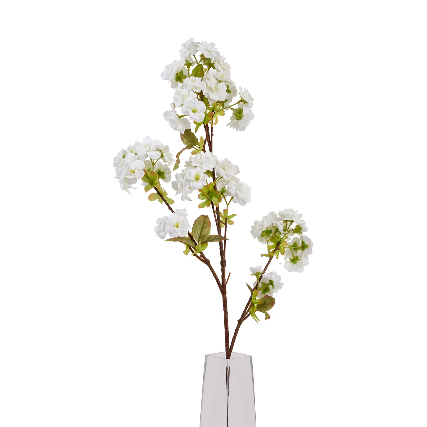 Skandi London Tall White Blossom - Skandi London