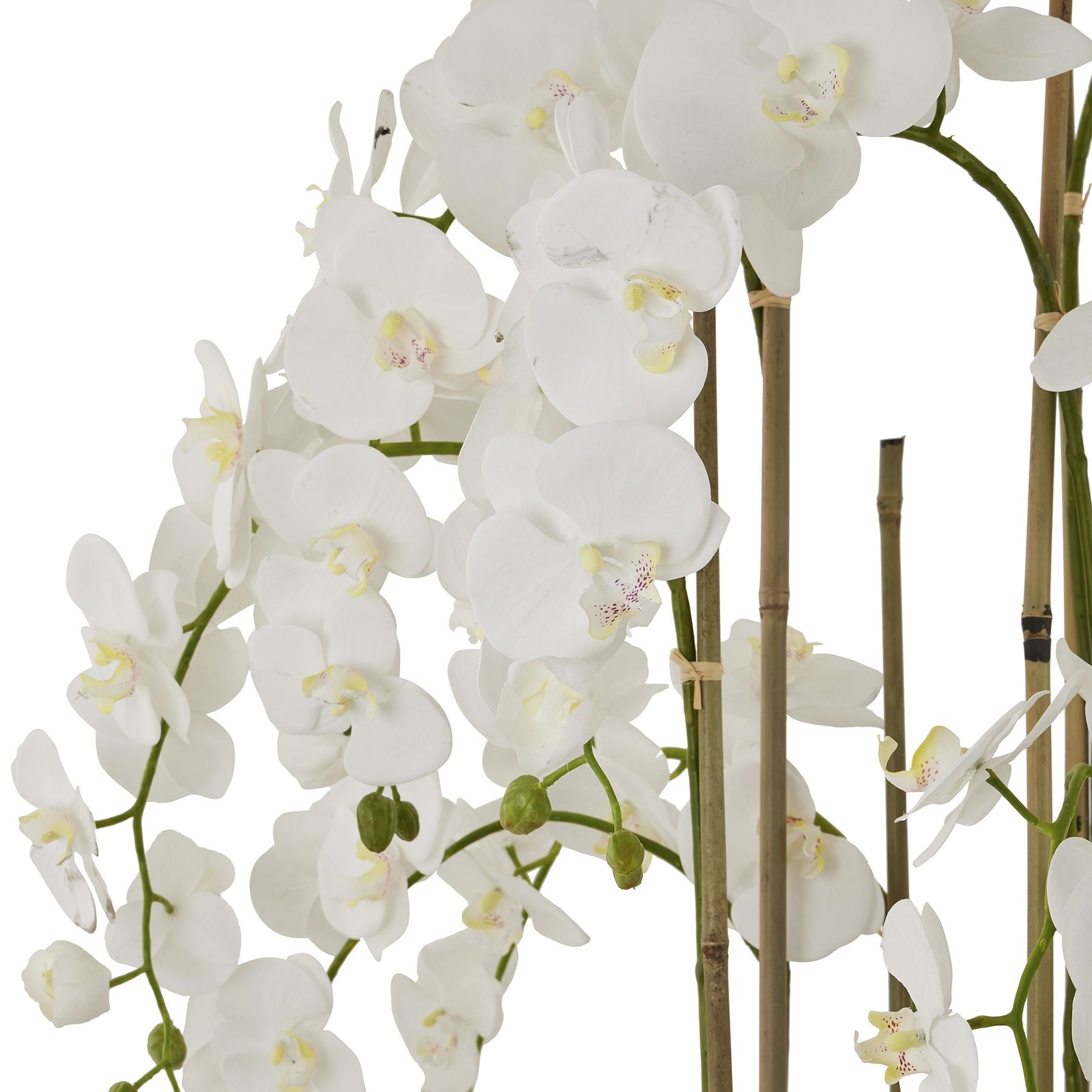 Skandi London Large White Orchid In Antique Stone Pot - Skandi London