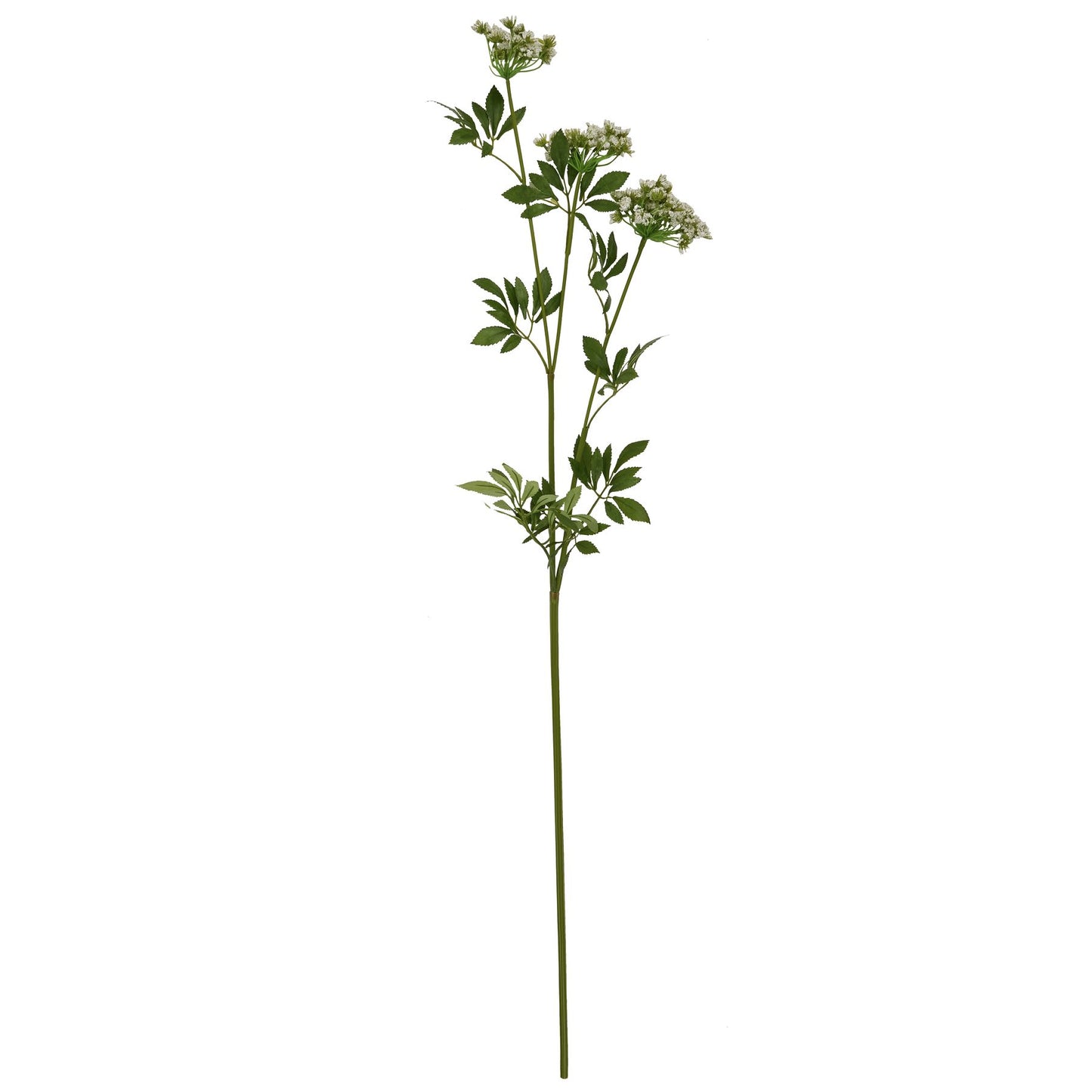 Skandi London Faux White Cow Parsley Ammi - Skandi London