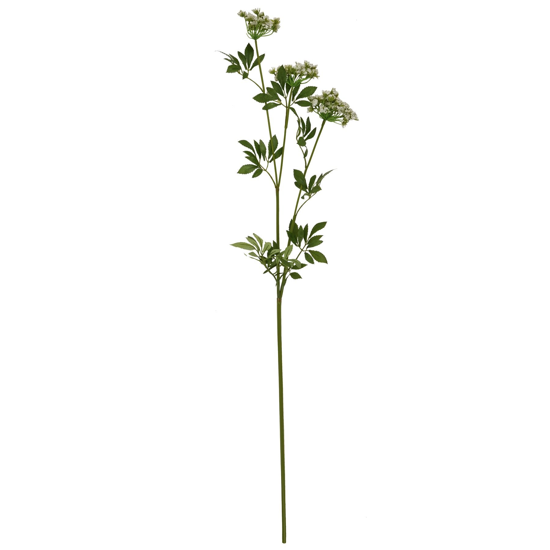 Skandi London Faux White Cow Parsley Ammi - Skandi London