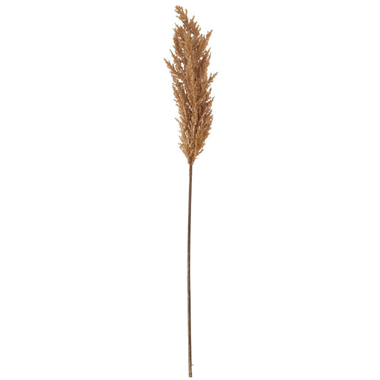 Skandi London Taupe Faux Dried Pampas Grass Stem - Skandi London