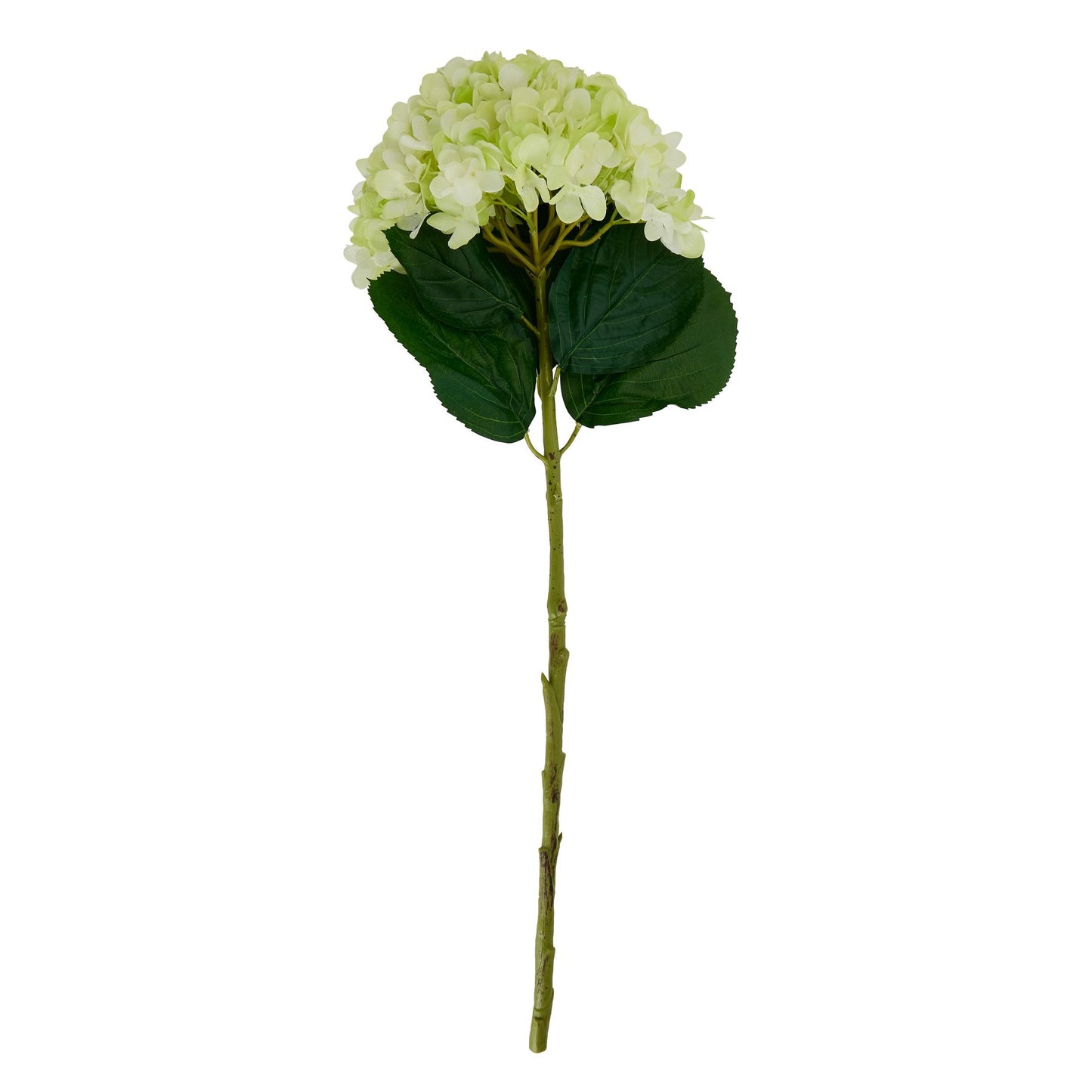 Skandi London Oversized Green Hydrangea - Skandi London