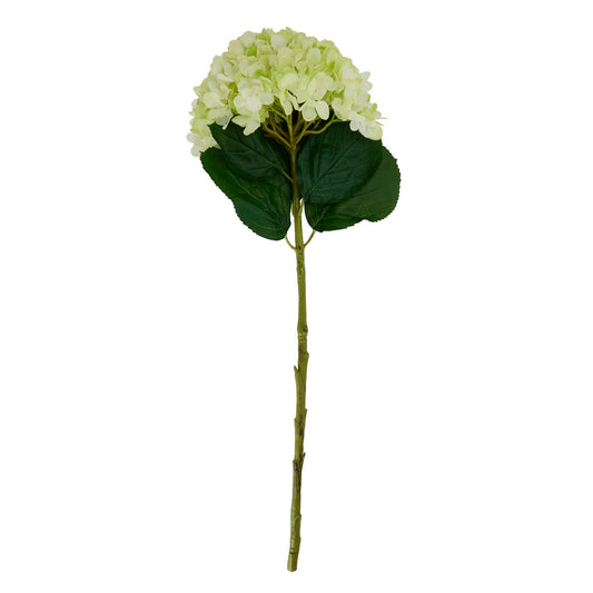 Skandi London Oversized Green Hydrangea - Skandi London