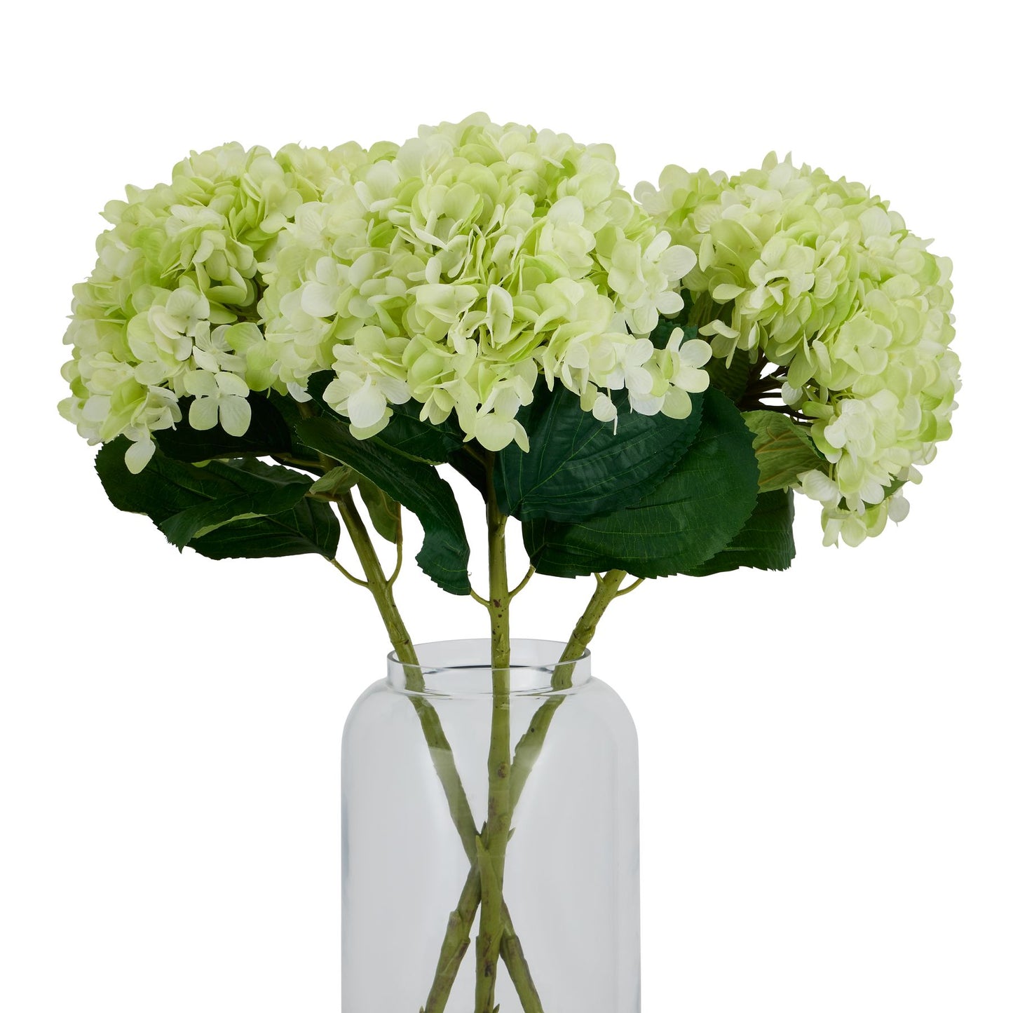 Skandi London Oversized Green Hydrangea - Skandi London