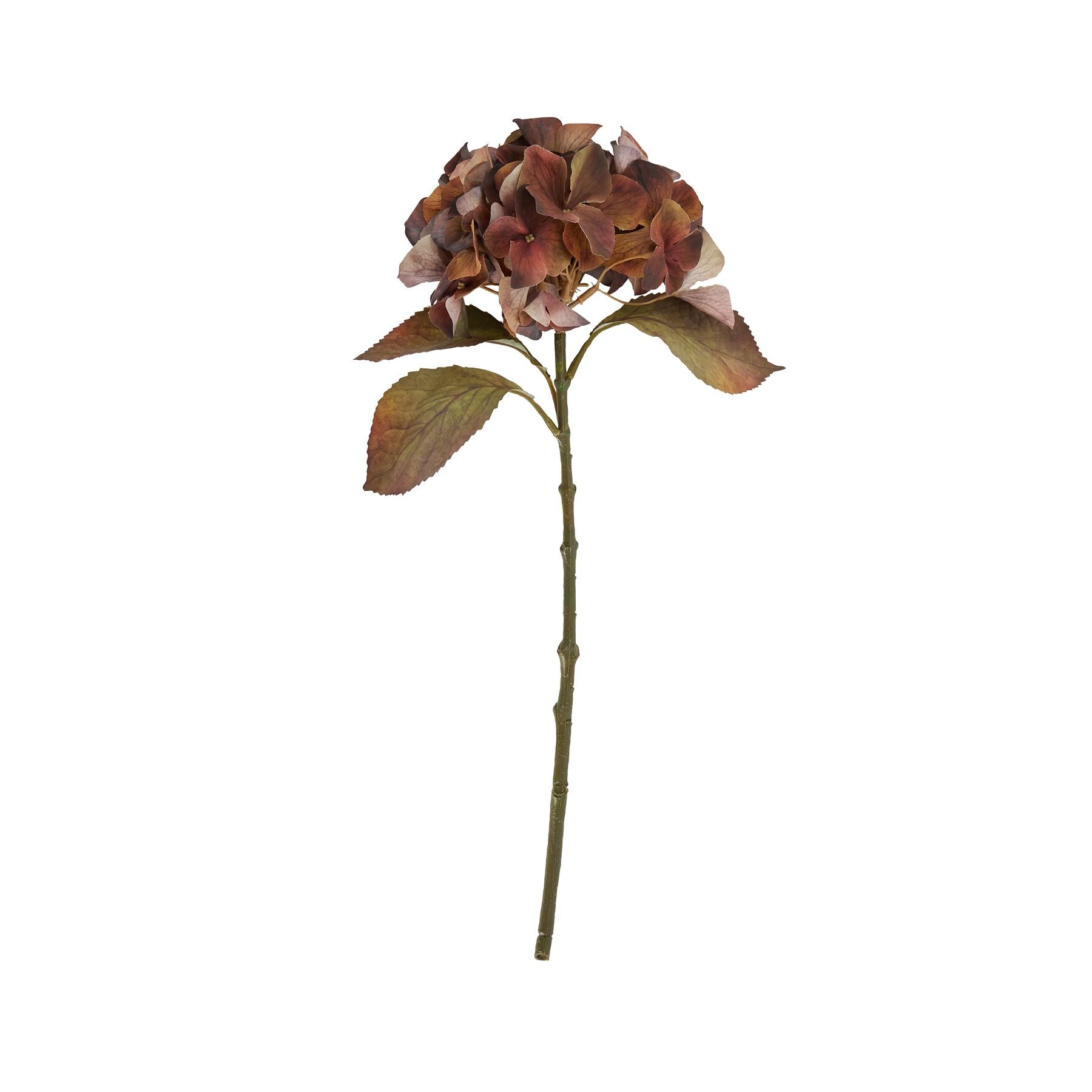 Skandi London Mixed Autumn Browns Single Hydrangea Stem - Skandi London