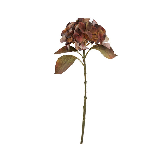 Skandi London Mixed Autumn Browns Single Hydrangea Stem - Skandi London