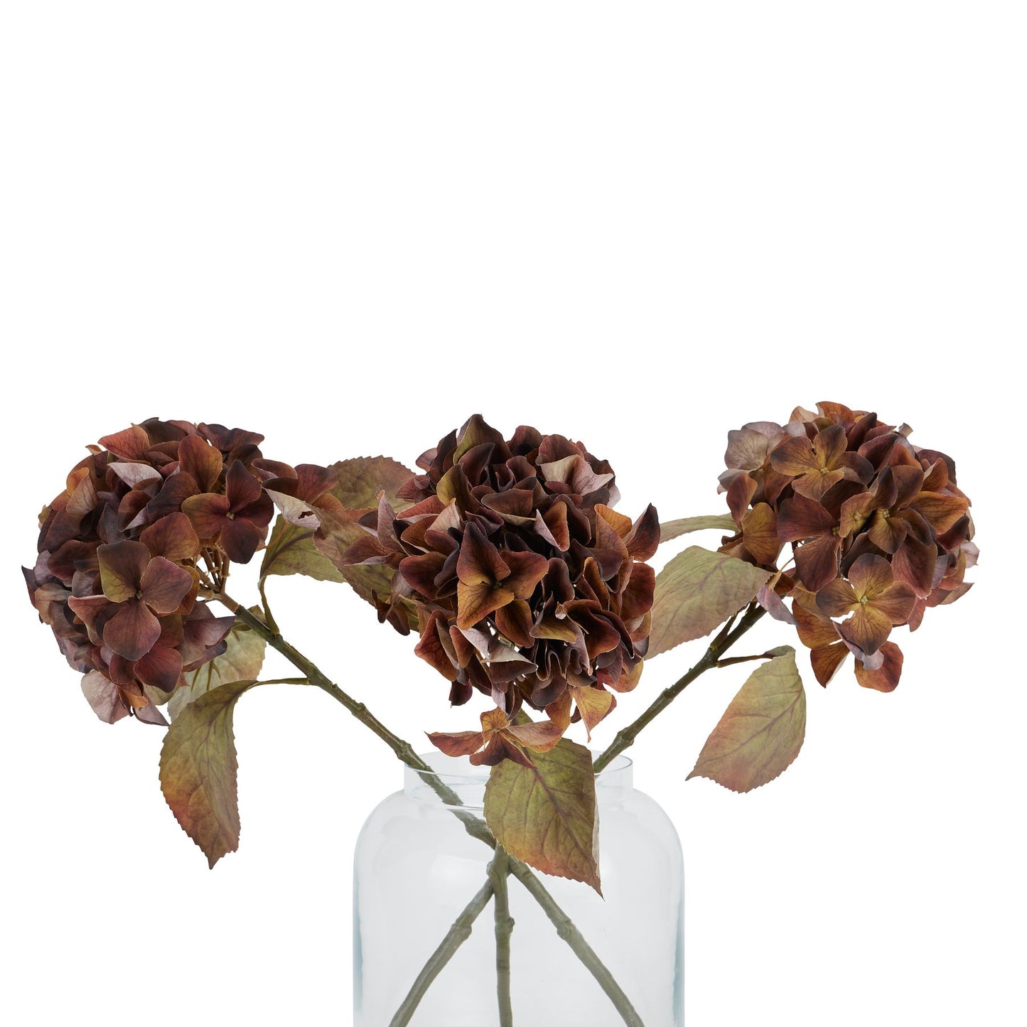 Skandi London Mixed Autumn Browns Single Hydrangea Stem - Skandi London
