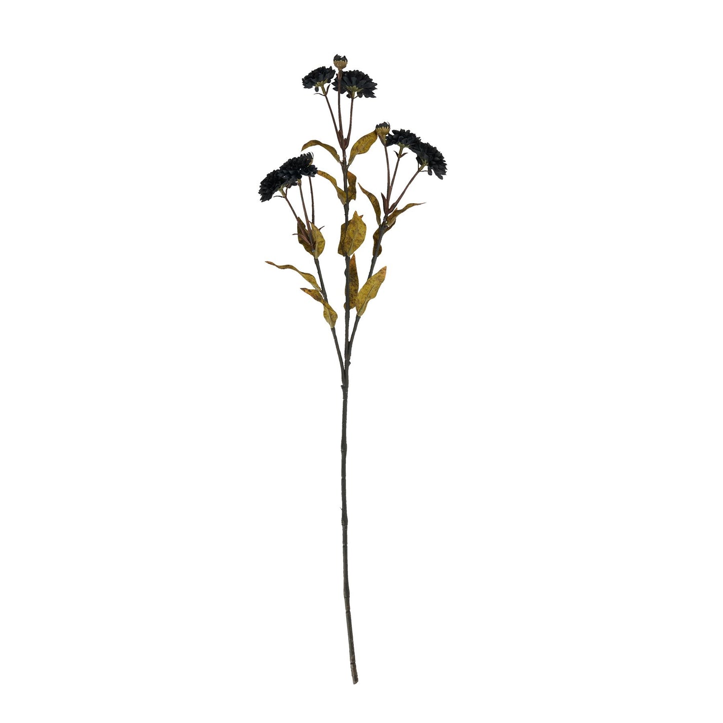 Skandi London Black Chrysanthemum - Skandi London