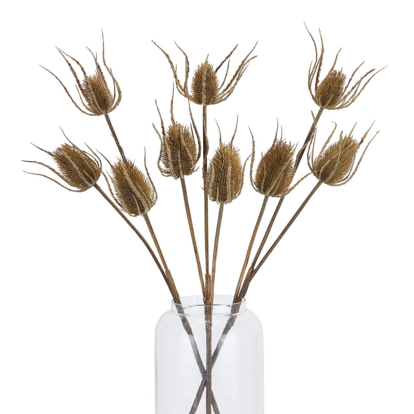 Skandi London Large Brown Triple Teasle Stem - Skandi London