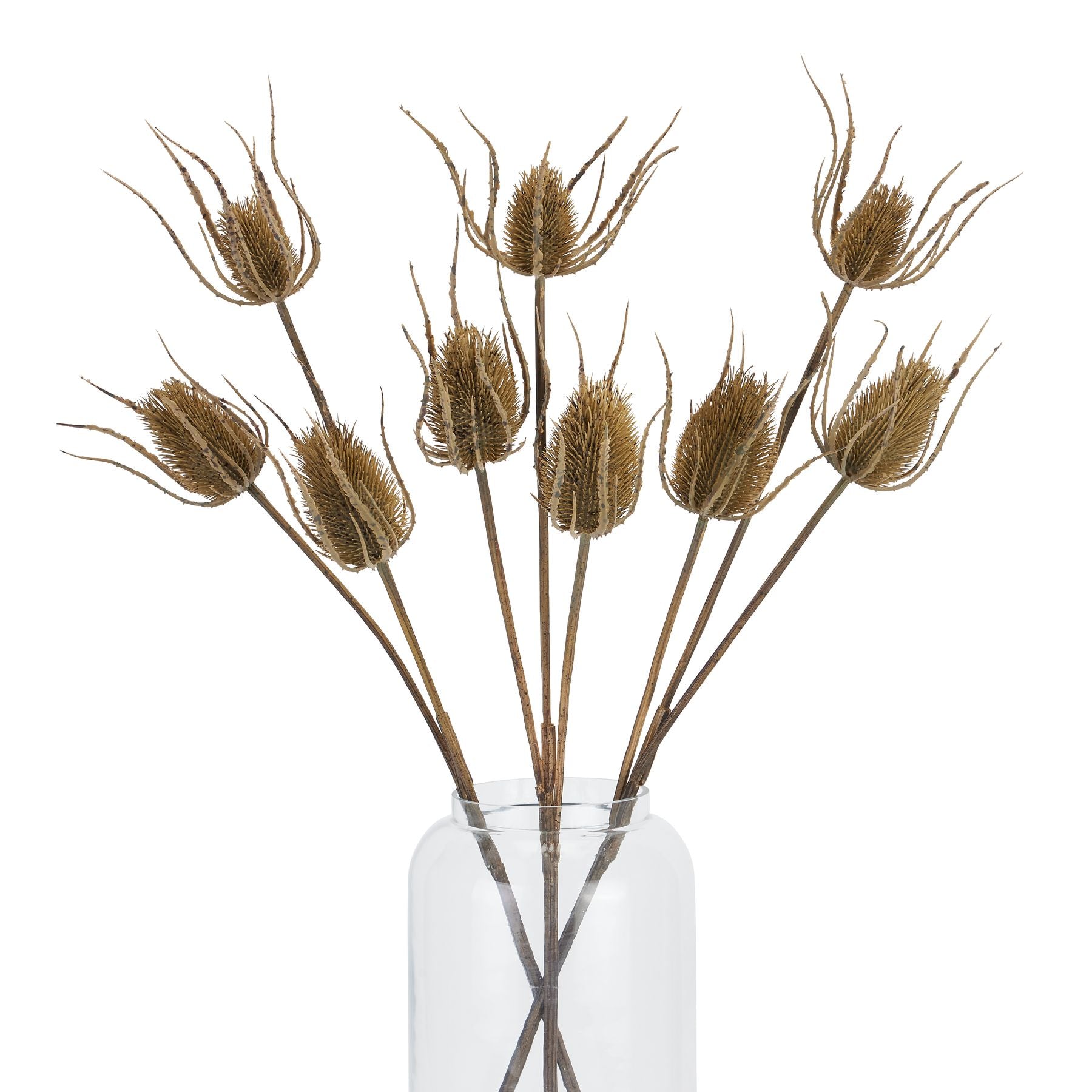 Skandi London Large Brown Triple Teasle Stem - Skandi London
