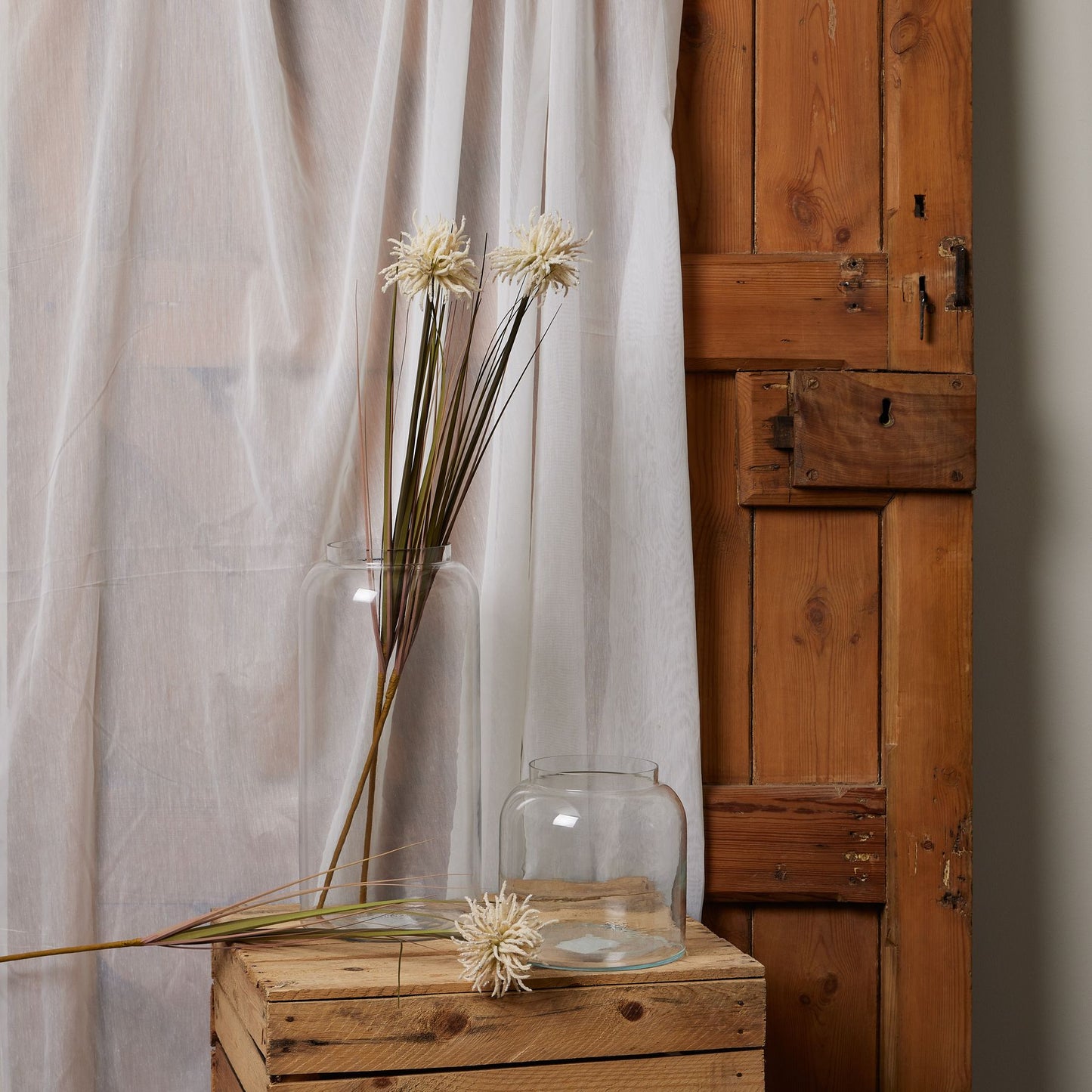 Skandi London Cream Aster Spider Chrysanthemum Stem - Skandi London