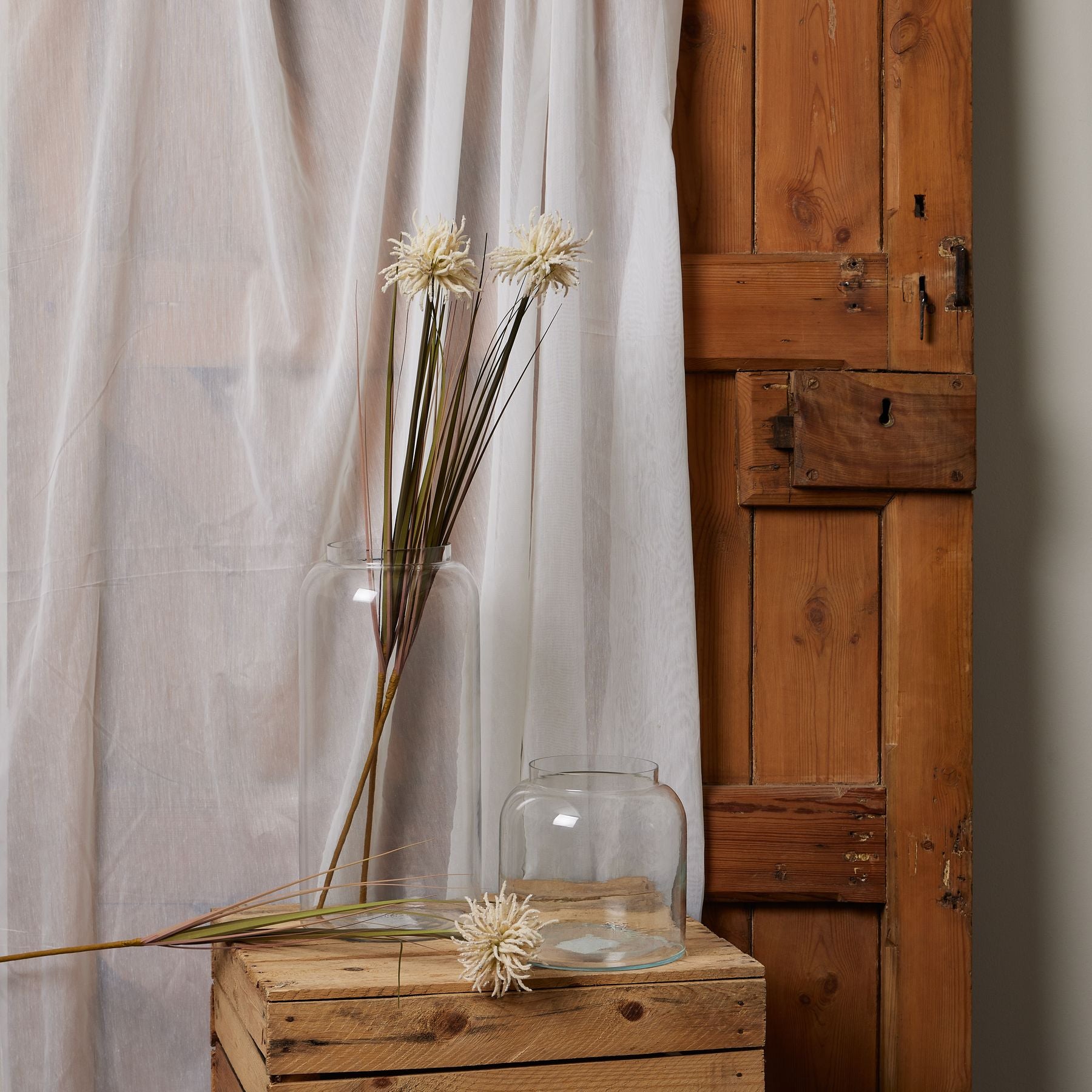 Skandi London Cream Aster Spider Chrysanthemum Stem - Skandi London