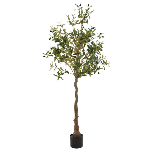 Hurum Olive Tree - Skandi London