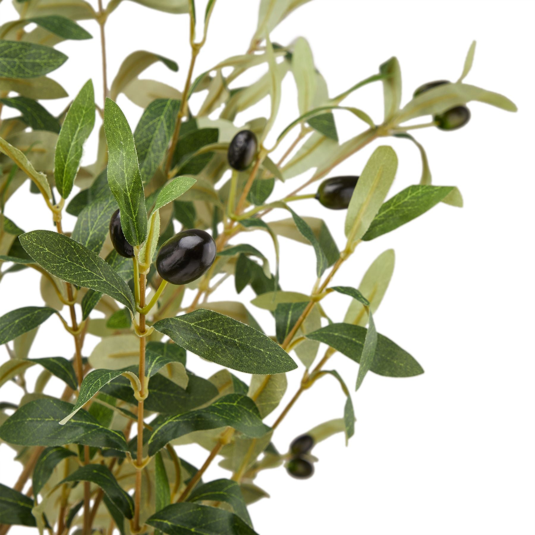 Hurum Large Olive Tree - Skandi London