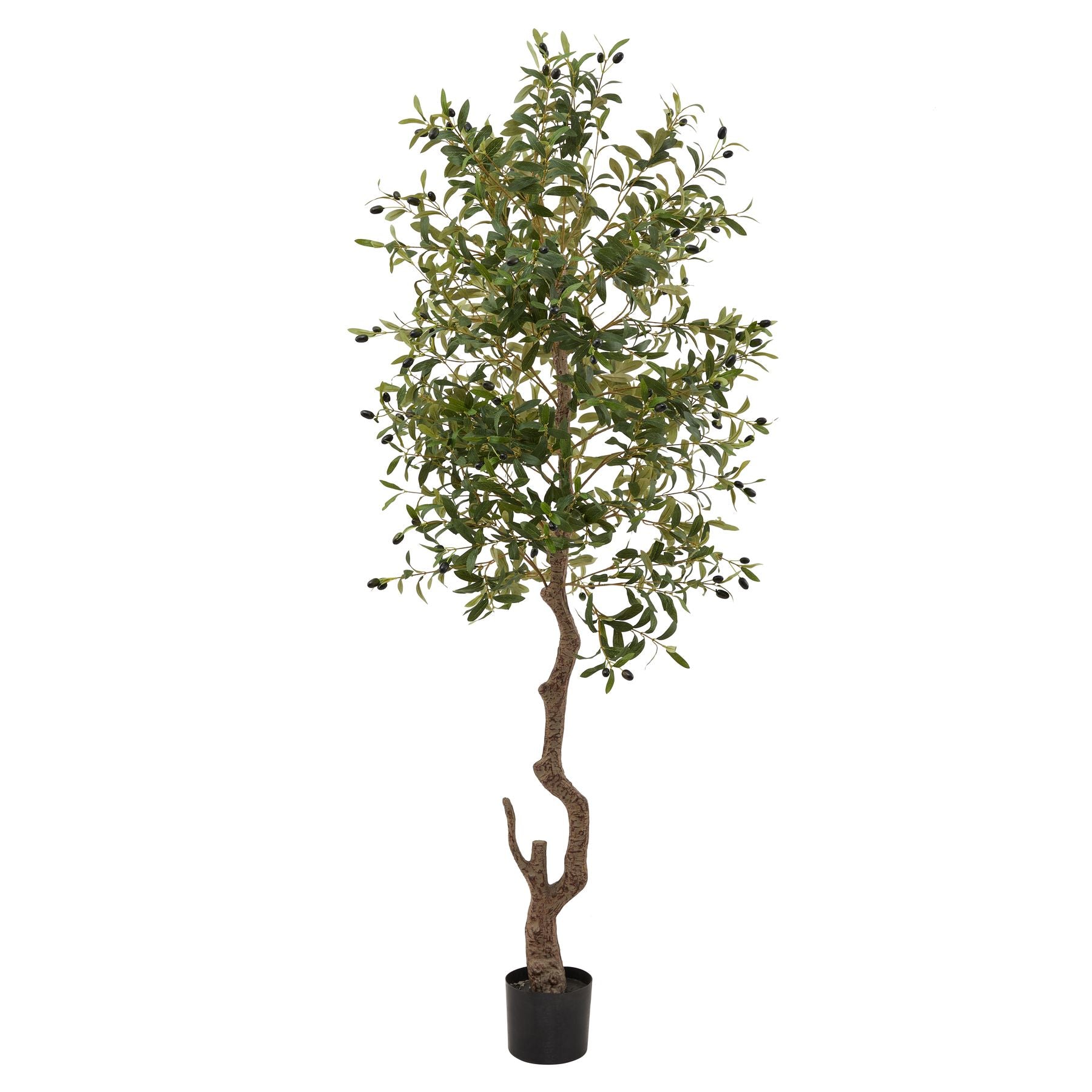 Hurum Large Olive Tree - Skandi London