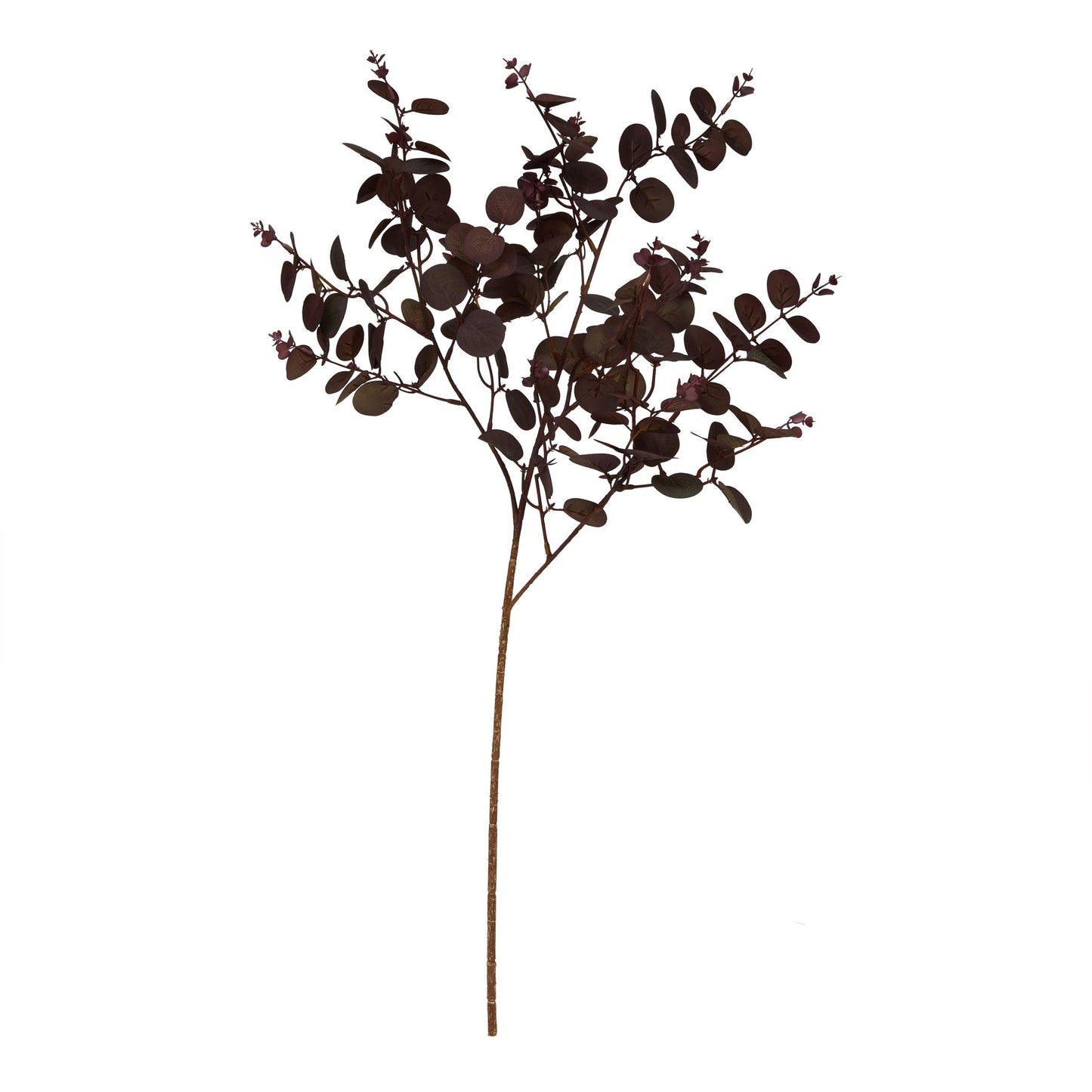 Skandi London Burgundy Eucalyptus Bunch - Skandi London