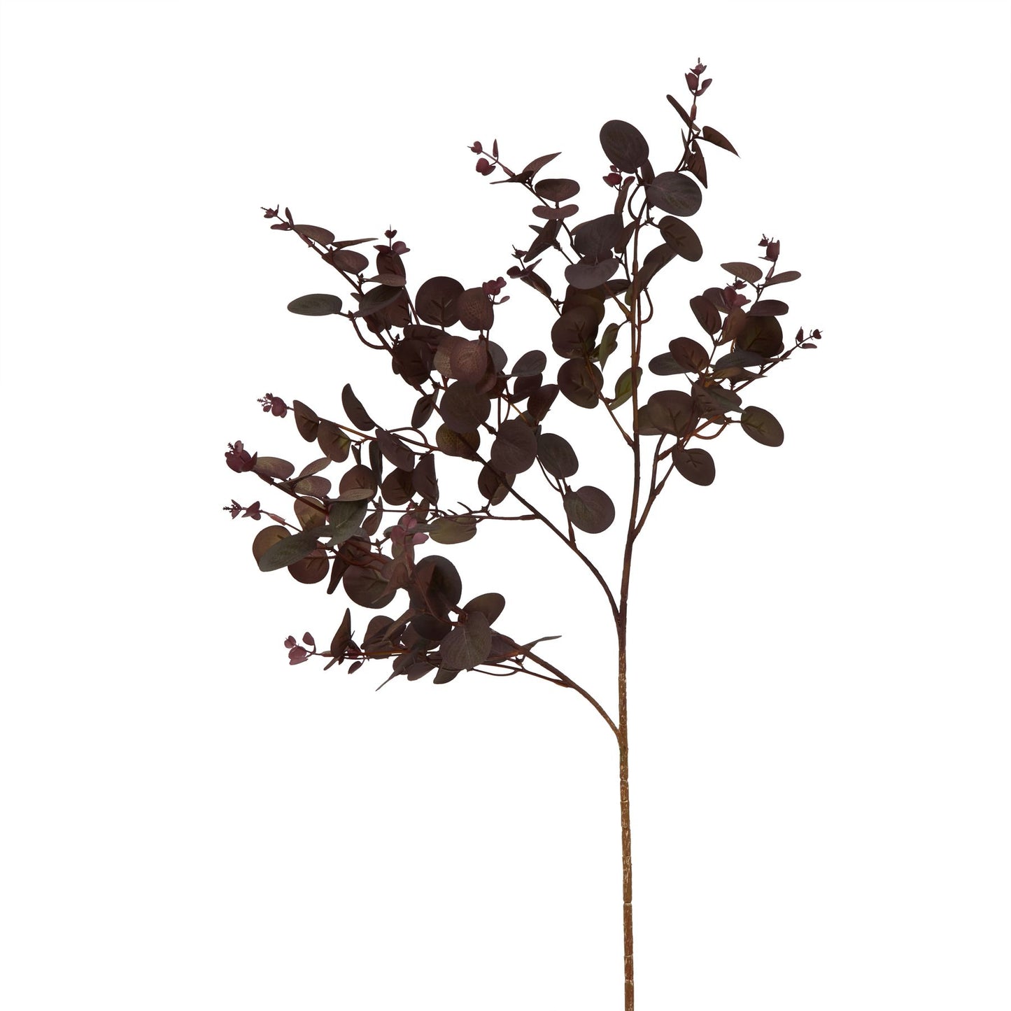 Skandi London Burgundy Eucalyptus Bunch - Skandi London