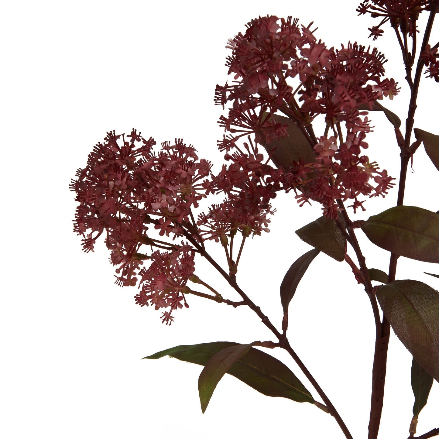 Skandi London Medium Burgundy Smokebush Stem - Skandi London