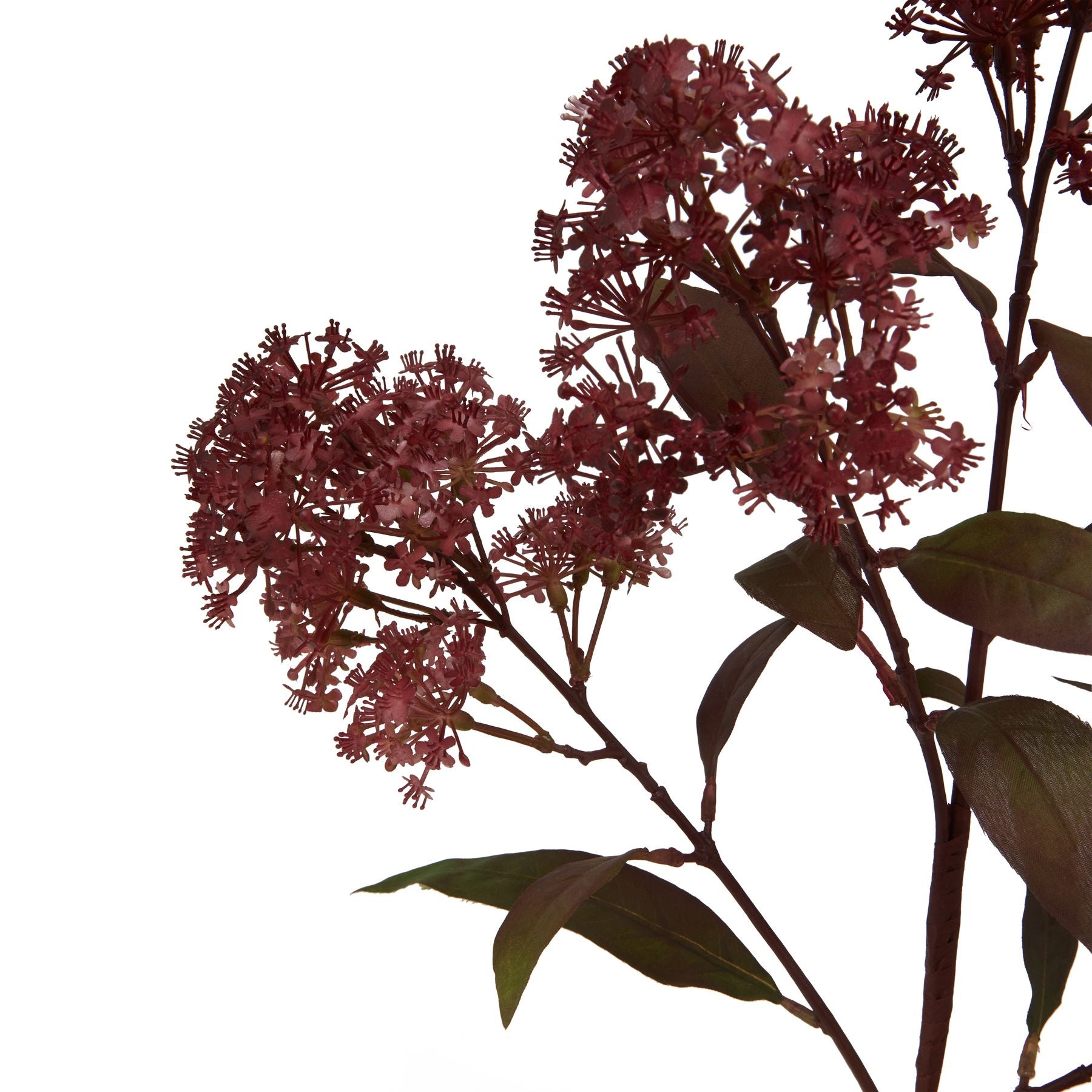 Skandi London Medium Burgundy Smokebush Stem - Skandi London