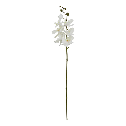 Skandi London Large White Butterfly Orchid Stem - Skandi London
