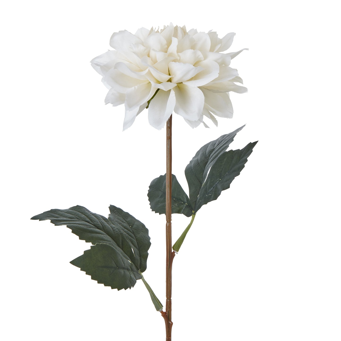 Lund Natural Garden Collection Tall White Dahlia - Skandi London