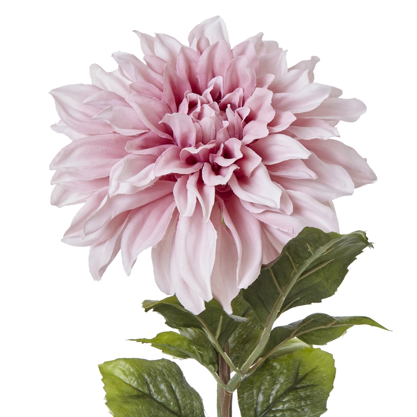 Lund Natural Garden Collection Pink Dahlia - Skandi London