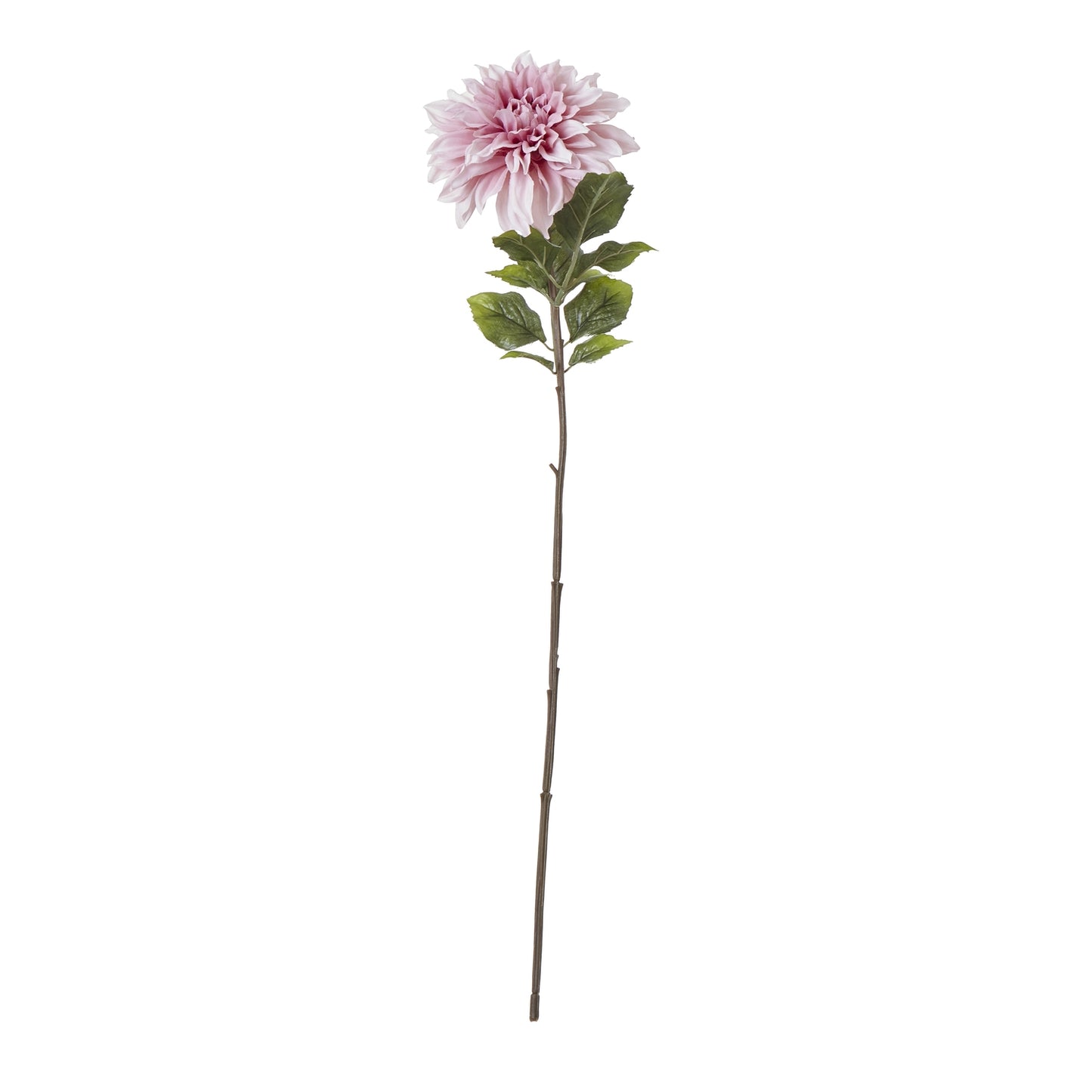 Lund Natural Garden Collection Pink Dahlia - Skandi London