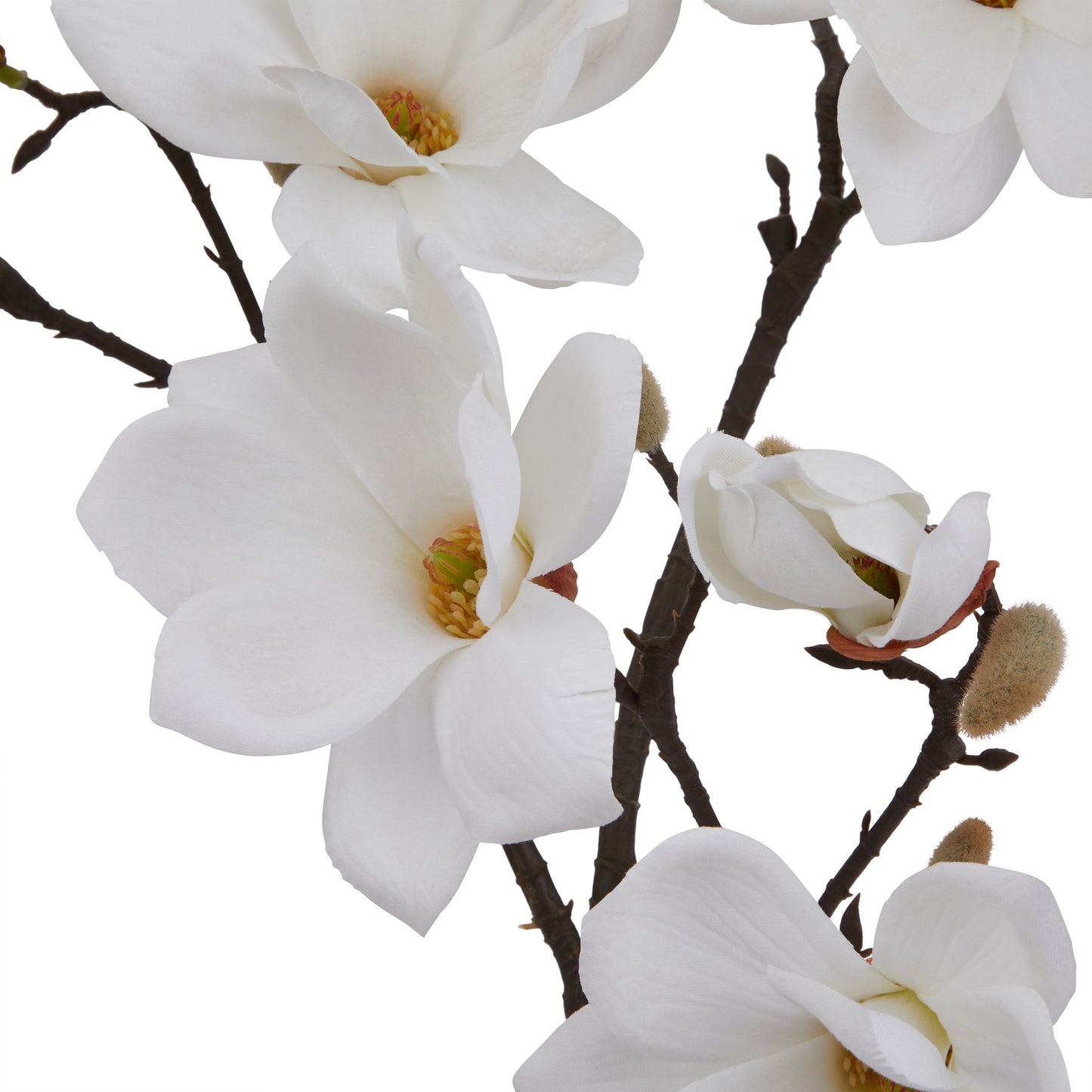 Lund Natural Garden Collection White Magnolia Stem - Skandi London