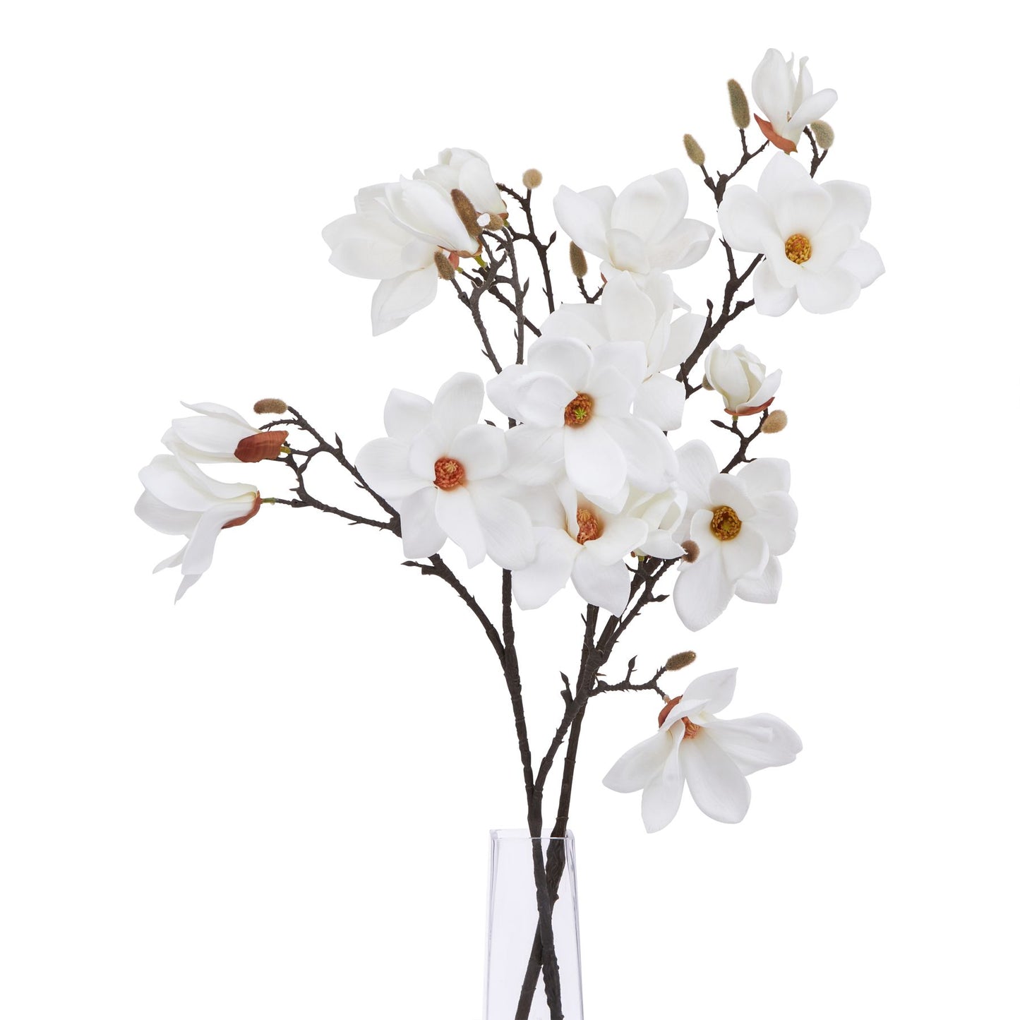 Lund Natural Garden Collection White Magnolia Stem - Skandi London